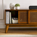 Vintage Rattan TV-Schrank mit 2 Staufächern und 4 Holzbeinen für Wohnzimmer, Schlafzimmer und Büro